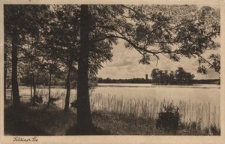 Soldin : Blick vom Uferweg am See