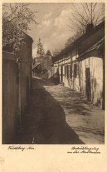 Friedeberg Nm. : Vorfrühlingstag an der Stadtmauer