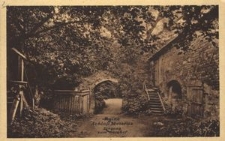 Ruine Schloss Meseritz : Eingang zum Burghof