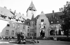 Zamek w Lubniewicach