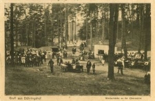 Gruss aus Dühringshof : Waldschänke an der Obermühle