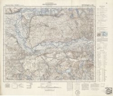Schwerin a. d. W. 273 : [Topographische Karte]