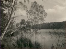 Vietz (Ostbahn) : Am Raaksee