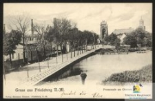 Gruss aus Friedeberg N.-M. : Promenade am Obersee