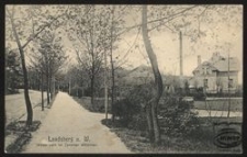 Landsberg a. W. : Wasserwerk im Zanziner Wäldchen