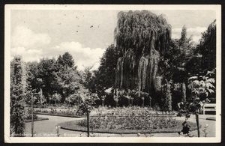 Landsberg a. d. Warthe - Rosengarten im Stadtpark