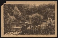 Landsberg a. W. : Mariengrund im Quilitzpark