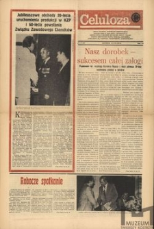 Celuloza 1979 nr 12 (166)