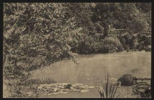 Landsberg a. W. : Mariengrund im Quilitzpark