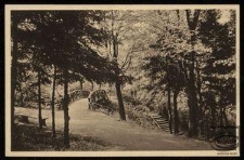 Die Parkstadt Landsberg a. W. : Brücke im Quilitzpark