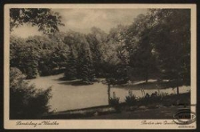 Landsberg a. Warthe : Partie im Quilitzpark