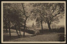 Die Parkstadt Landsberg a. W. : Blick von der Schanze