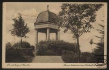 Landsberg a. Warthe : Aussichtsturm im Schönfliesspark