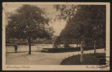 Landsberg a. Warthe : Im Stadtpark