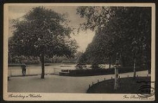 Landsberg a. Warthe : Im Stadtpark