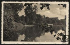 Landsberg/Warthe : Im Stadtpark