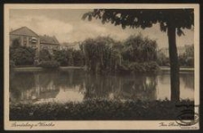 Landsberg a. Warthe : Im Stadtpark