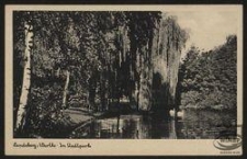 Landsberg/Warthe - Im Stadtpark