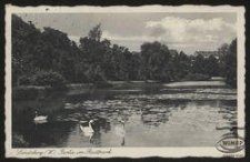 Landsberg (W.) : Partie im Stadtpark