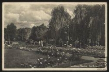 Landsberg/Warthe. Im Rosengarten