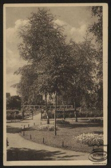 Die Parkstadt Landsberg a. W. : Im Stadtpark