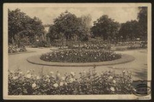 Die Parkstadt Landsberg a. W. : Der Rosengarten im Stadtpark