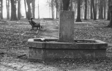 Pozostałości cmentarza ewangelickiego w Parku Kopernika w Gorzowie