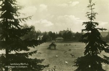 Landsberg (Warthe) : Wildwiese im Stadtpark